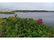 IMG 20230720 183003.jpg