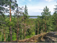 IMG 20230718 151430.jpg