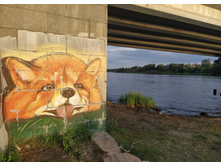 IMG 20230720 204837.jpg