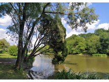 IMG 20230701 145749.jpg