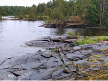 IMG 20230721 165448.jpg