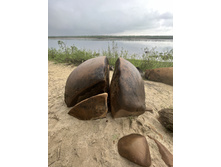 Photo 9 2023-08-05 13-38-51.jpg