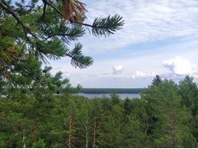 IMG 20230718 152514.jpg