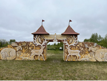 2023-06-21 10-37-27.jpg