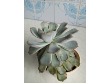 IMG 20230813 175403 896.jpg