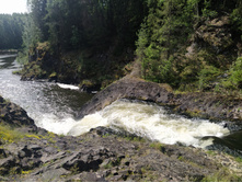 IMG 20230718 124442.jpg