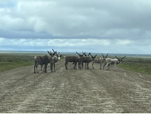 Photo 3 2023-08-05 17-15-42.jpg