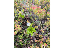 2023-06-20 19-55-01.jpg