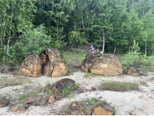 Photo 12 2023-08-05 13-38-51.jpg