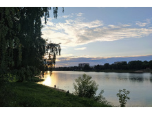 IMG 20230724 201437.jpg