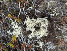 2023-06-20 19-53-33.jpg