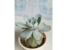 IMG 20230813 175429 199.jpg