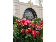 IMG 20230701 184714.jpg