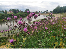 IMG 20230714 165650.jpg