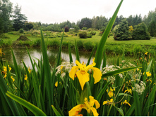 IMG 20230719 143002.jpg