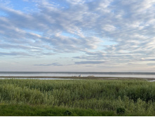 Photo 5 2023-08-05 13-39-04.jpg