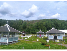 IMG 20230720 131746.jpg