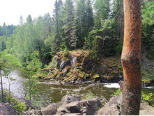 IMG 20230718 125336.jpg