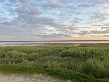 Photo 1 2023-08-05 13-38-59.jpg