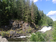 IMG 20230718 124334.jpg