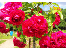 IMG 20230701 140329.jpg