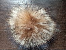 ����������� ���� .jpg