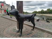 IMG 20230714 124942.jpg