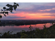 IMG 20230818 195814.jpg