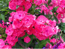 IMG 20230714 121841.jpg