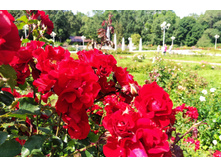 IMG 20230701 144451.jpg