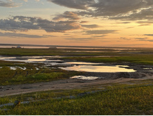 Photo 6 2023-08-05 13-38-59.jpg