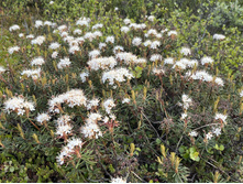 2023-06-20 19-52-56.jpg