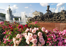 IMG 20230701 181726.jpg