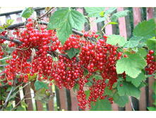 ��������� ������� ������ ������ �3 ��������.jpg