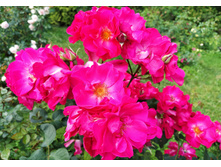 IMG 20230701 142627.jpg