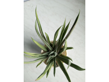 IMG 20230813 175943 135.jpg