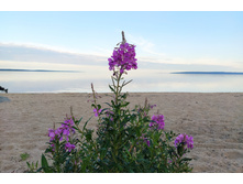 IMG 20230715 201915.jpg