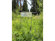 Photo 12 2023-08-05 13-38-59.jpg