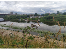 IMG 20230714 165122.jpg