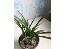 IMG 20230813 175717 601.jpg