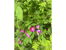 Photo 10 2023-08-05 13-38-59.jpg