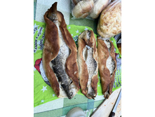 Photo 10 2023-08-05 13-38-43.jpg