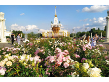 IMG 20230701 180937.jpg