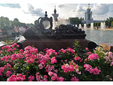 IMG 20230701 181603.jpg