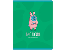 MS 47937 ������� ���������� 48�. MESHU "������ MISHKA" - ��������, ������� ���������, ���������� ��-���, �������� �������