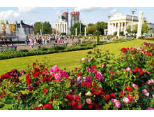 IMG 20230701 180401.jpg