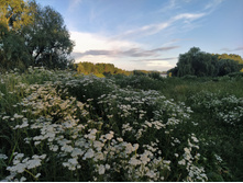 IMG 20230723 202212.jpg