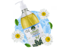 ���� 3�1 � ��������� FloraJoy 1 ���� FloraJoy.png