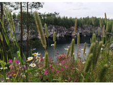 IMG 20230720 161827.jpg