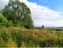 IMG 20230717 174139.jpg